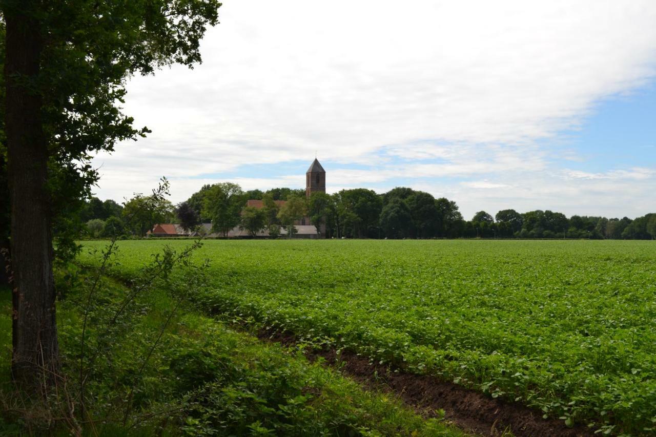 Mooi Nieuw Houten Huisje Havelte Ngoại thất bức ảnh