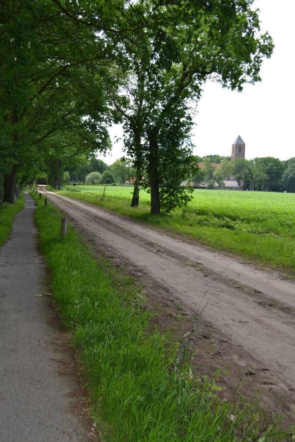Mooi Nieuw Houten Huisje Havelte Ngoại thất bức ảnh